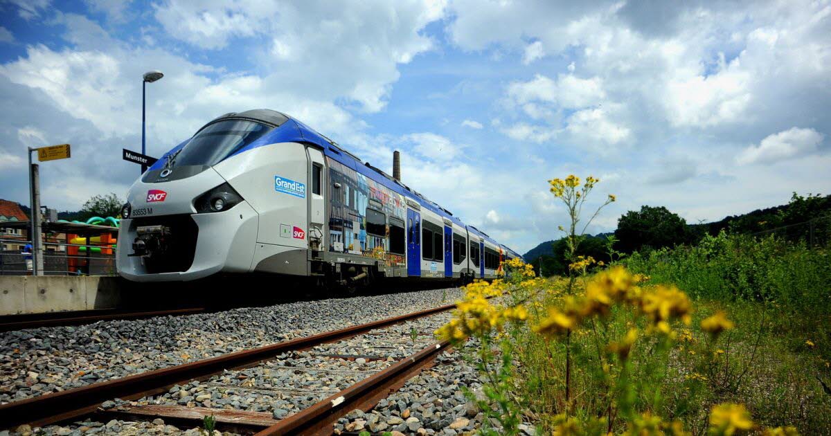 Liaison ferroviaire Colmar-Fribourg : histoire et avenir